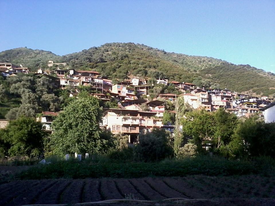 Nazilli Işıklar Köyü Resimleri 6