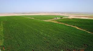 Çınar Aşağımollaali Köyü Resimleri 3