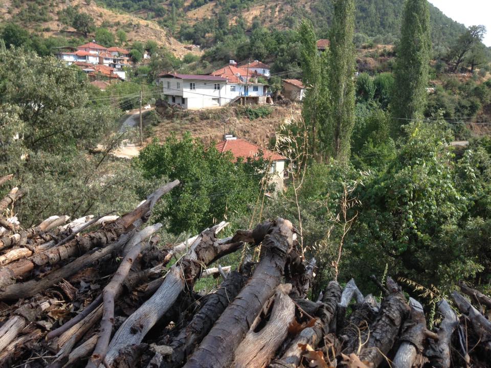 Nazilli Kahvederesi Köyü Resimleri 4