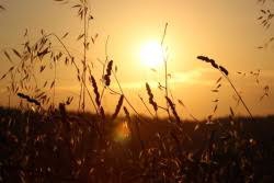 Çınar Ayveri Köyü Resimleri 3