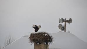 Çınar Ayveri Köyü Resimleri 4