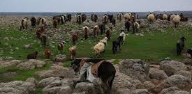Çınar Ayveri Köyü Resimleri 6