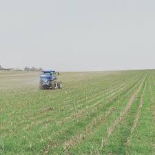 Çınar Belenli Köyü Resimleri 4