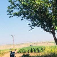 Çınar Belenli Köyü Resimleri 6