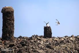 Çınar Bellitaş Köyü Resimleri 3