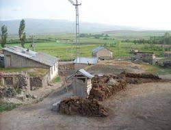 Çınar Bellitaş Köyü Resimleri 4