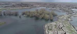 Çınar Bellitaş Köyü Resimleri 5