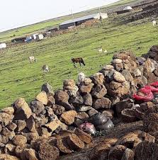 Çınar Beneklitaş Köyü Resimleri 6