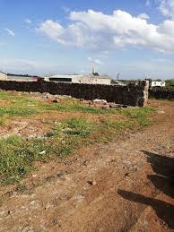 Çınar Beneklitaş Köyü Resimleri 7