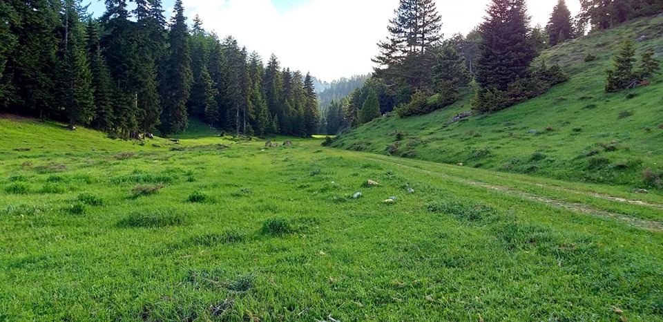 Göksun Acıelma Köyü Resimleri 1