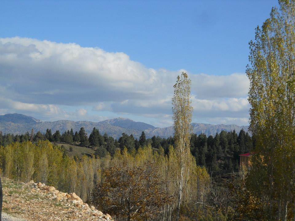 Göksun Acıelma Köyü Resimleri 2