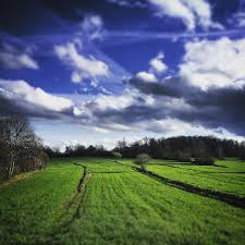 Çınar Bozçalı Köyü Resimleri 9