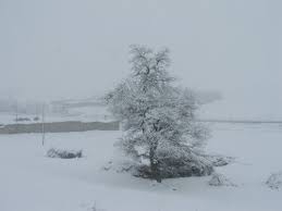 Çınar Çataltarla Köyü Resimleri 7