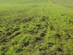 Çınar Çeltikaltı Köyü Resimleri 4