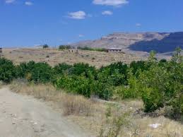 Çınar Çınarköy Köyü Resimleri 5