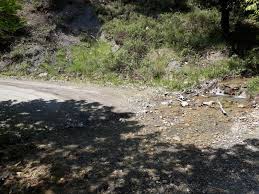 Çınar Çınarköy Köyü Resimleri 6