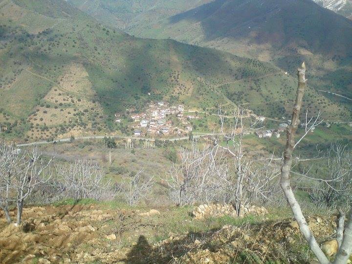 Nazilli Rahmanlar Köyü Resimleri 2