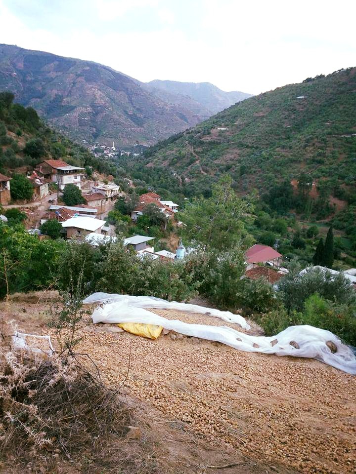 Nazilli Rahmanlar Köyü Resimleri 3