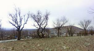 Çınar Çömçeli Köyü Resimleri 2