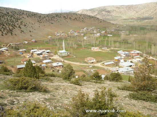 Göksun Çağlayan Köyü Resimleri 6