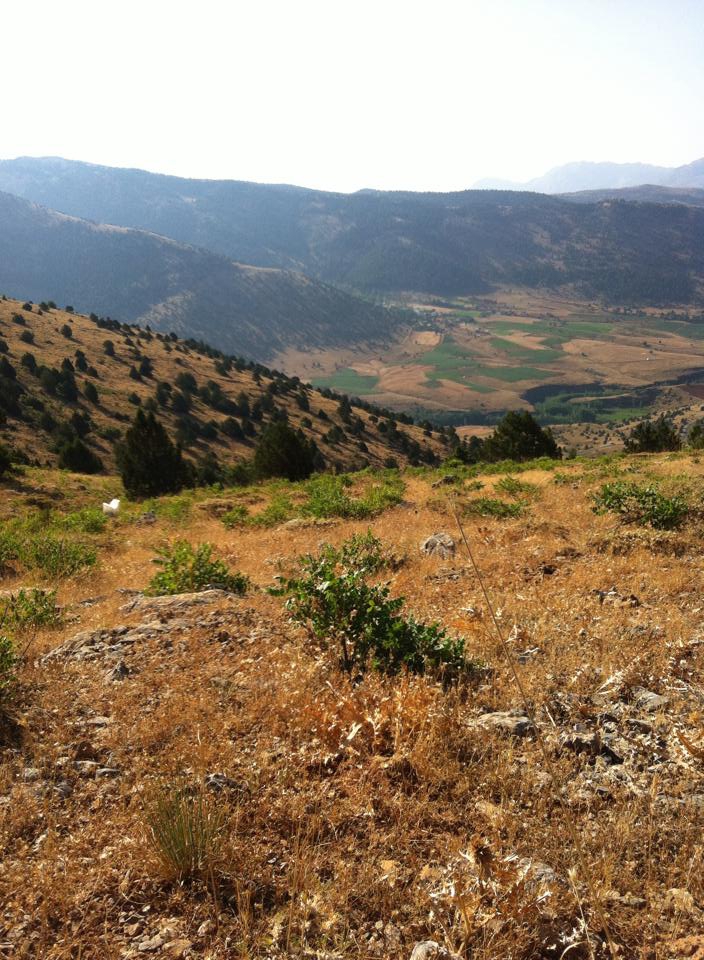 Göksun Çamdere Köyü Resimleri 7