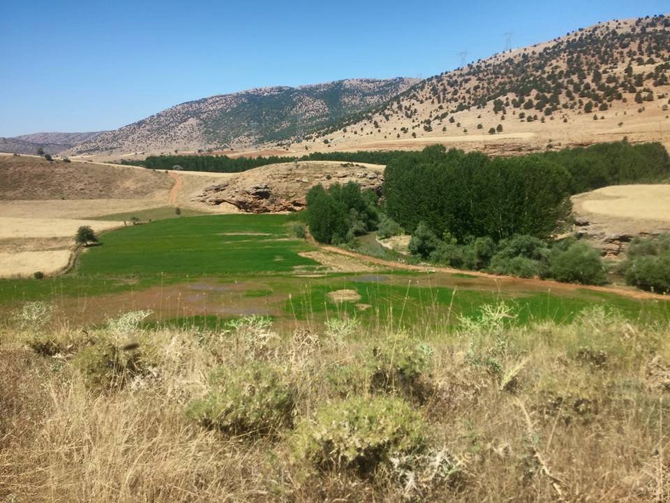 Göksun Çamdere Köyü Resimleri 8