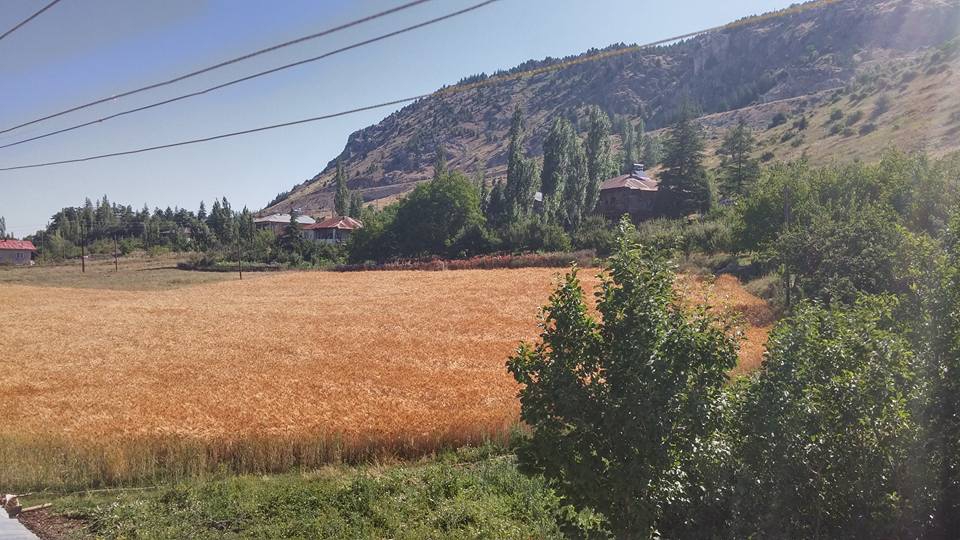 Göksun Değirmendere Köyü Resimleri 1