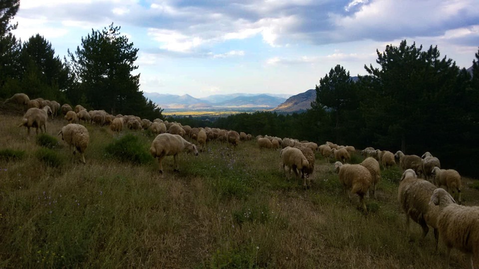 Göksun Değirmendere Köyü Resimleri 6