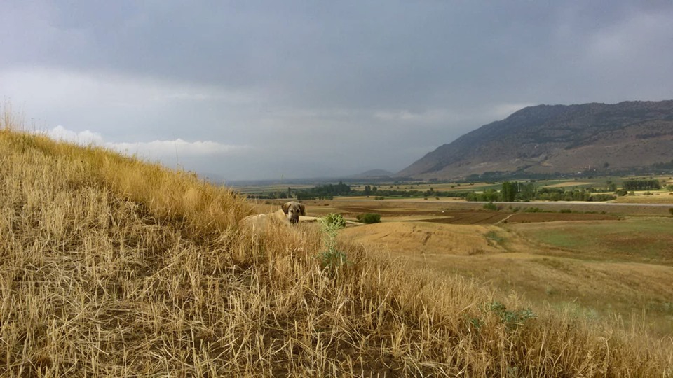 Göksun Değirmendere Köyü Resimleri 7