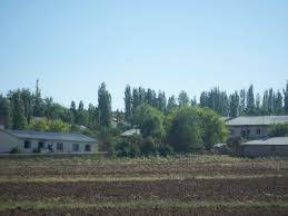 Çınar Dikmencik Köyü Resimleri 1