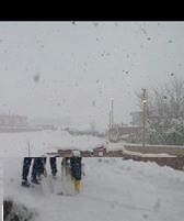 Çınar Ekinveren Köyü Resimleri 2