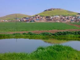 Çınar Filizören Köyü Resimleri 3