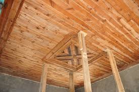 Çınar Göktepe Köyü Resimleri 1