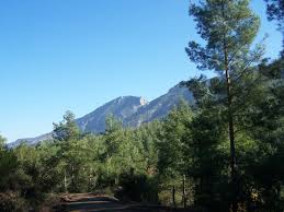 Çınar Halkapınar Köyü Resimleri 1