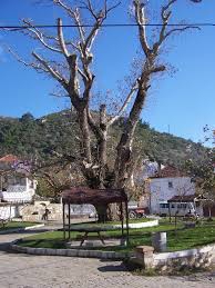 Çınar Halkapınar Köyü Resimleri 4