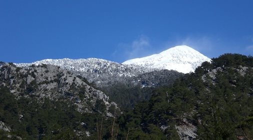 Dalaman Darıyeri Köyü Resimleri 11
