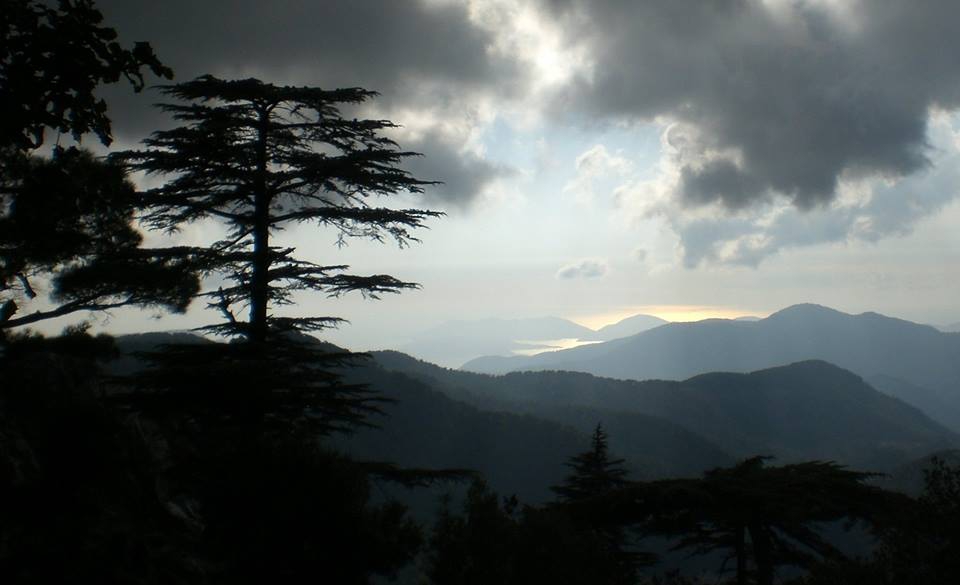 Dalaman Darıyeri Köyü Resimleri 12