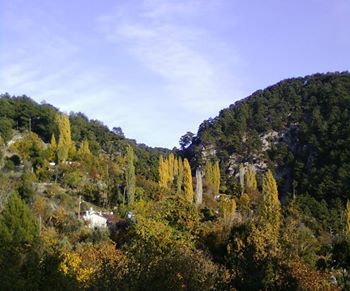 Dalaman Darıyeri Köyü Resimleri 13