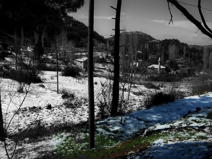 Dalaman Darıyeri Köyü Resimleri 15