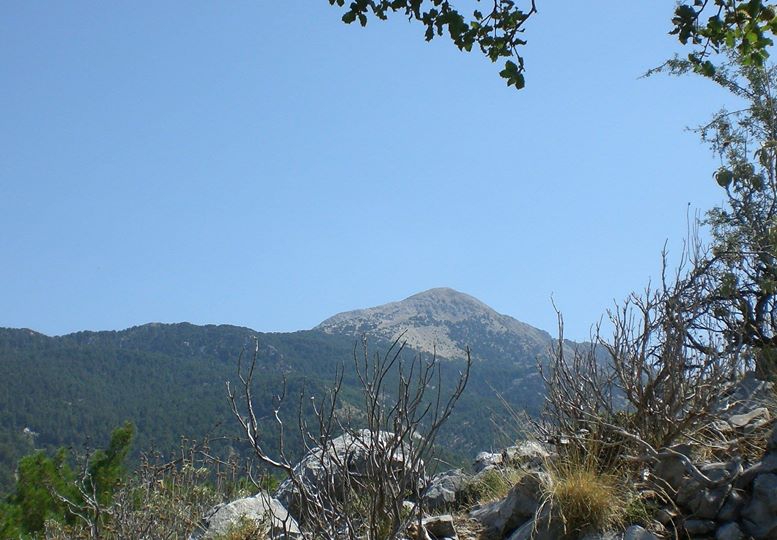 Dalaman Darıyeri Köyü Resimleri 16