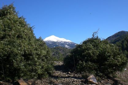 Dalaman Darıyeri Köyü Resimleri 5