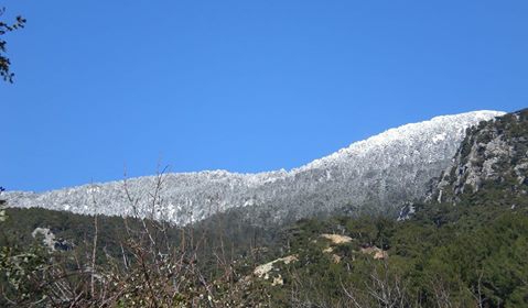 Dalaman Darıyeri Köyü Resimleri 7