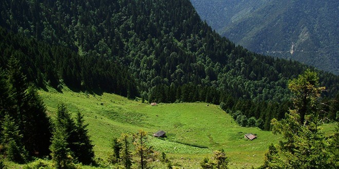 Çayırlı Büyük Yayla Köyü Resimleri 8