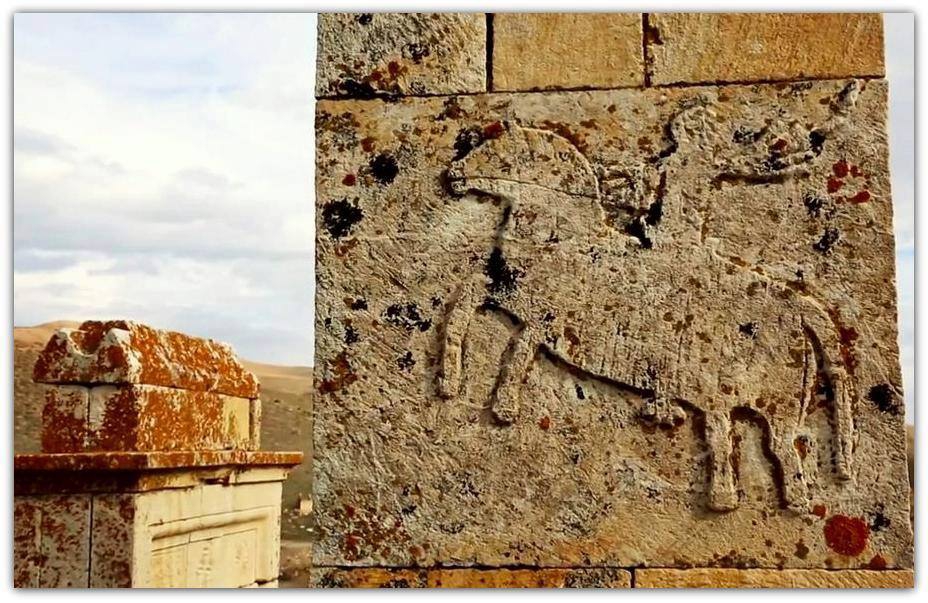 Çayırlı Başköy Köyü Resimleri 8