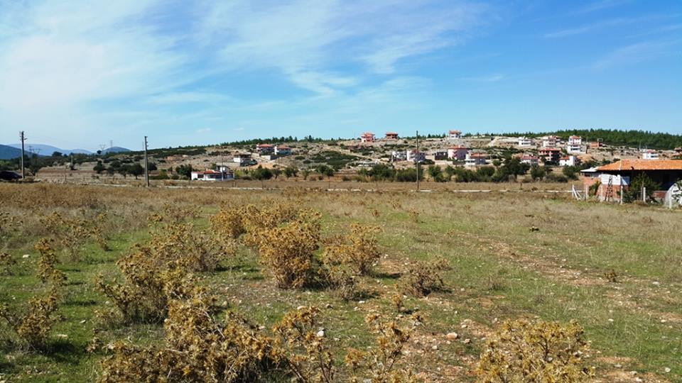 Menteşe Akçaova Köyü Resimleri 12