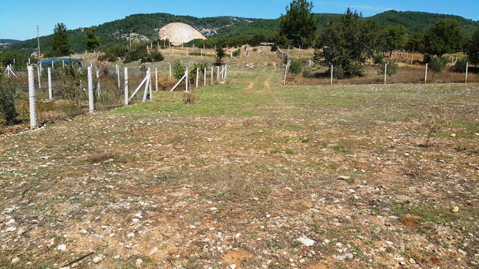 Menteşe Akçaova Köyü Resimleri 14