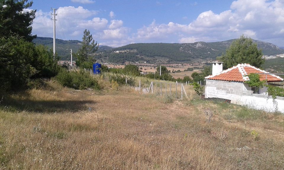 Menteşe Akçaova Köyü Resimleri 4