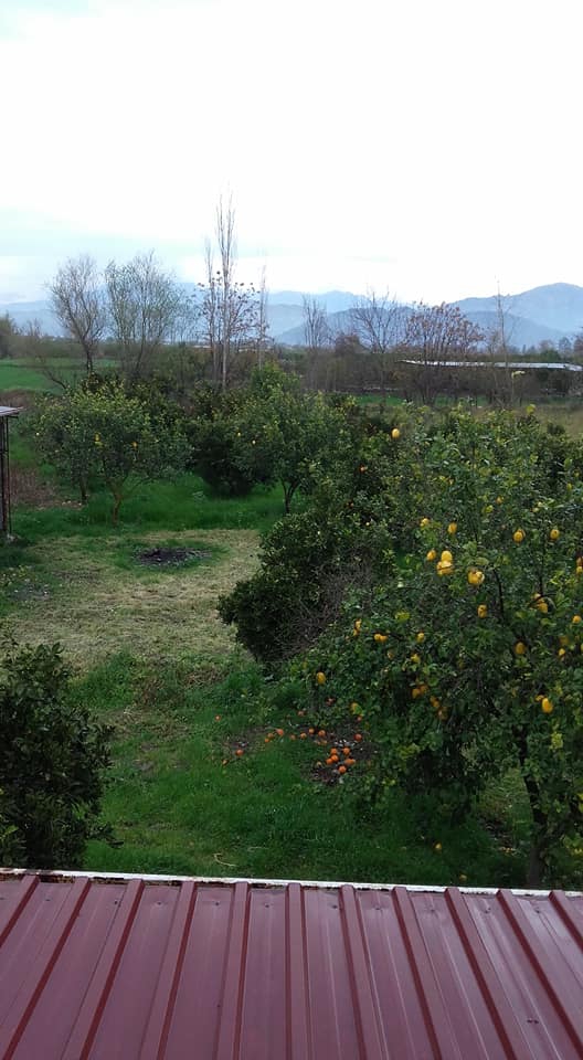 Ortaca Akıncı Köyü Resimleri 4