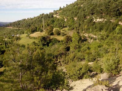 Adana Kozan Şerifli Köyü Resimleri 10
