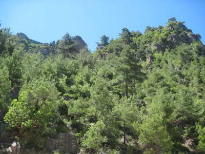 Adana Kozan Şerifli Köyü Resimleri 11